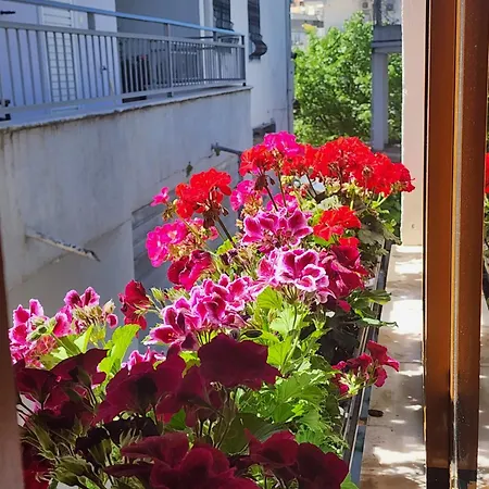 Appartement Dhami